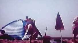 Cuộc phiêu lưu của b ...