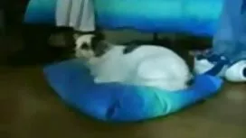 Cô học sinh rất phim ...
